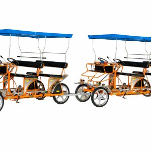 Eight person surrey bike